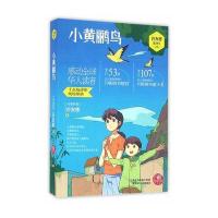 红蜻蜓暖爱长篇小说;许友彬悬念时空系列?小黄鹂鸟许友彬9787534293443