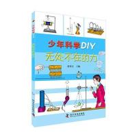 无处不在的力段伟文9787110091456