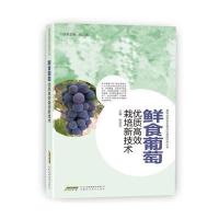鲜食葡萄优质高效栽培新技术张金云9787533767143