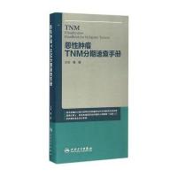 恶*肿瘤TNM分期速查手册程颖9787117217507