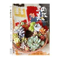多肉美栽:来自多肉星球的礼物韩也豪9787539486024