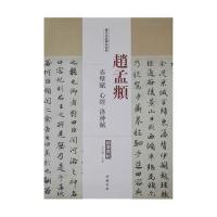 历代名家碑帖经典(赵孟頫赤壁赋、心经、洛神赋)王冬梅9787514913217
