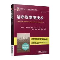 洁净煤发电技术汪一9787111540564