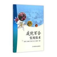 庭院百合实用技术赵祥云9787109210493