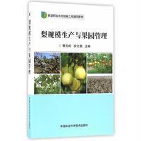 梨规模生产与果园管理曹炎成9787511626349