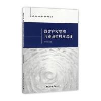 煤矿产结构与资源型村庄治理李利宏9787516184998