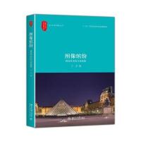 图像缤纷:视觉艺术的文化维度丁宁9787301274583