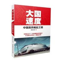 大国速度:中国高铁崛起之路高铁见闻9787535791887
