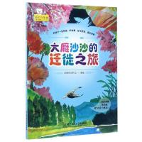 大雁沙沙的迁徙之旅聪明谷益智工厂9787568233484