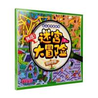 迷宫大冒险(奇妙梦境)孙静9787549236091