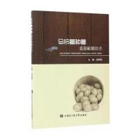 马铃薯种薯质量检测技术白艳菊9787566114136