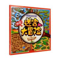 迷宫大冒险(田野迷踪)孙静9787549236084