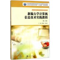 新编大学计算机信息技术实践教程(D2版)翟双灿9787305192098