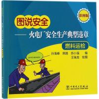 火电厂安全生产典型违章（彩图版）（燃料运检）孙海峰9787519809294