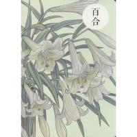 祝大年格调笔记系列(百合)祝大年9787546146799