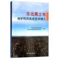 东北黑土地保护利用集成技术模式编者:杨帆//仲鹭勍9787109244849