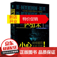 鹏辰正版正版 网探 网络金融P2P融资全解密 网络犯罪 刑侦探案推理小说 首部网络警察办案刑侦故事悬疑