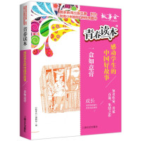 鹏辰正版青春读本 4:感动学生的中国好故事一 一盒如意膏语音 优美故事精彩好读 青少年学生写作参考课外阅读