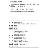 鹏辰正版中华书局 中国武术实用大全 康戈武 中国武术概论 武术技法原理 武术教学与训练介绍了习练武术的方法