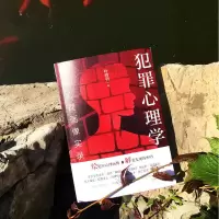 鹏辰正版正版 犯罪心理学一犯罪心理画像实录 叶鸿羽著经典必看犯罪心理学小说 绘犯罪心理画像 比雷米小说