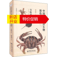 鹏辰正版中国常见海洋生物原色图典 节肢动物 少儿科普知识读本 海洋节肢动物的特征介绍 海洋生物介绍工具书籍