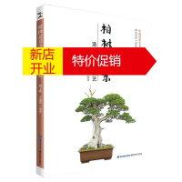 鹏辰正版柏树盆景造型与养护技艺 柏树盆景制作 新手学柏树盆景制作 家居家庭园艺 盆景造型设计书栽培技术入门书