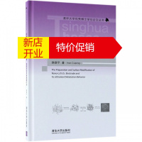 鹏辰正版纳米钛酸锂电极材料的制备表面改性及嵌脱锂行为(精)/清华大学优秀博士学位论文丛书