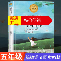 鹏辰正版正版 落花生 许地山 统编版配套同步阅读老师推荐大语文教材绘本图画书小学生五年级课外书必读人教版上册