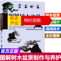 鹏辰正版 图解树木盆景制作与养护 盆景书籍盆栽书籍 盆景造型设计图盆景制作书养护书籍盆景艺术造型书树木盆