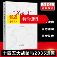 鹏辰正版优惠]十四五大战略与2035远景 胡鞍钢周绍杰鄢一龙解读中国经济政府规划领导干部智库 大循环经