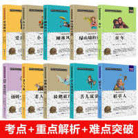 鹏辰正版世界名著10册老人与海小王子苦儿流浪记稻草人叶圣陶爱的教育绿山墙的安妮小学生课外阅读书