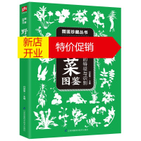 鹏辰正版野菜图鉴257种野菜 野菜野果图鉴中国常见植物野外识别手册原野漫步植物图谱野外识别速查图鉴野生植物身