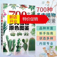 鹏辰正版700种多肉植物原色图鉴 第二版 多肉植物图鉴 养多肉的书 多肉养殖书籍 多肉养殖教程 多肉图谱多肉