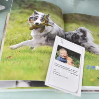 鹏辰正版走进狗狗的世界狗狗真实愿望和行为秘密养狗书籍训狗教程训犬书宠物书训练狗狗一本就够了狗狗书籍大全养狗书