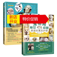 鹏辰正版全2册]人狗养成 宠物狗常见狗问题狗狗饮食训练狗狗一本就够了养狗的书狗狗的健康吃出来狗狗训练教程