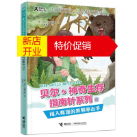 鹏辰正版贝尔.神奇生存指南针系列：10闯入帐篷的黑熊拳击手（儿童小说）9787544864398