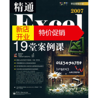 鹏辰正版精通Excel 2007综合应用的19堂案例课 荣钦科技,李新承 改编 电子工业出版社