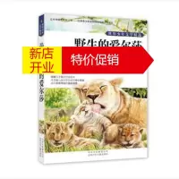 鹏辰正版野生的艾尔莎