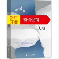 鹏辰正版天鹅飞过大地