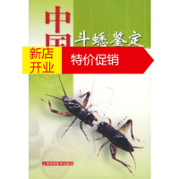 鹏辰正版中国斗蟋鉴定