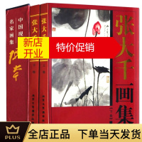 鹏辰正版张大千画集 礼盒彩印16开共2卷中国现代名家画集荷花鸟山水国画装饰画人物临摹敦煌壁画