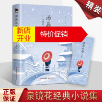 鹏辰正版汤岛之恋 泉镜花 精装 泉镜花经典小说集 日本文学小说作品集 现代出版社