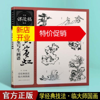 鹏辰正版黄宾虹画集 黄宾虹山水写生画谱 名家课徒稿临本系列 绘画国画技法书籍 中国画赏析 上海人民美术出版社