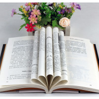 鹏辰正版百年政治家族 家族研究书籍 现代出版社