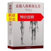 鹏辰正版素描人体解剖大全 素描人体解刨学绘画画册集书籍 北京美术摄影出版社