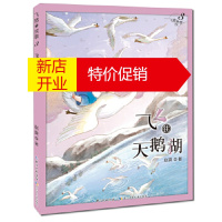 鹏辰正版飞猪的故事3 飞往天鹅湖 一部关于梦想、友情与勇气的探险童话