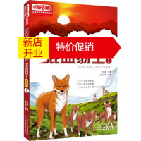 鹏辰正版儿童文学名家典藏漫画 沈石溪动物漫画王国——混血豺王1 漫画版 沈石溪 原 正东动漫 绘