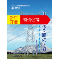 鹏辰正版《青藏电力联网工程 专业卷 柴达木拉萨±400kV直流输电工程风采纪实》