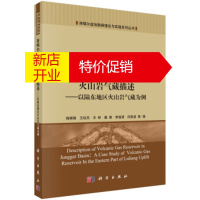 鹏辰正版准噶尔盆地火山岩气藏描述 以陆东地区火山岩气藏为例 钱根葆, 王延杰, 王彬, 戴勇, 等