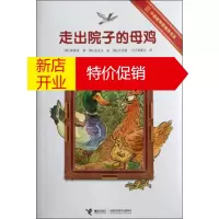鹏辰正版走出院子的母鸡